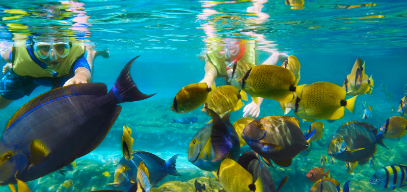 Aulani disney キャラクターグリーティング